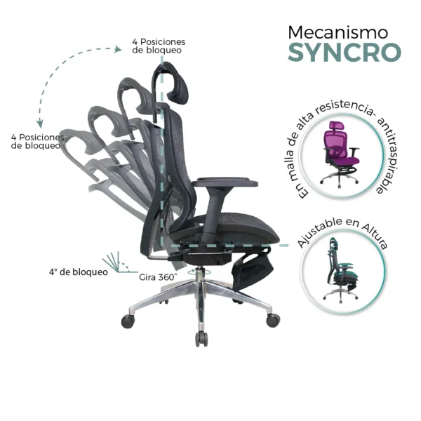 Silla Presidente Ergo-Plus - Image 7