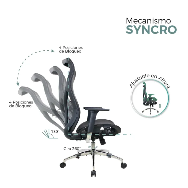 Silla Presidente Vitruvio - Image 6