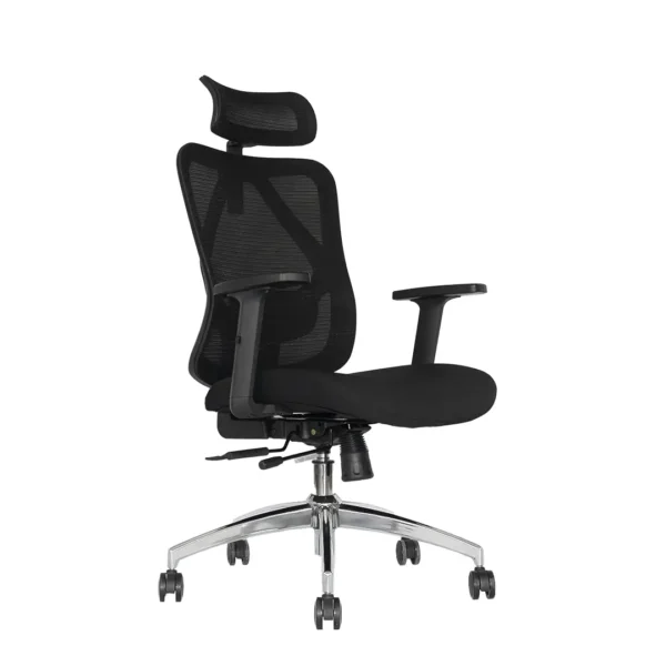 Silla Presidente Bahia Negra