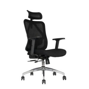 Silla Presidente Bahia Negra