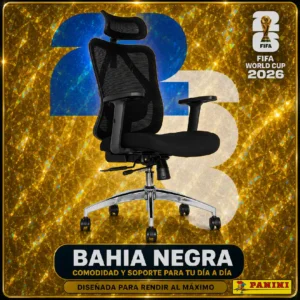 Silla Presidente Bahia Negra