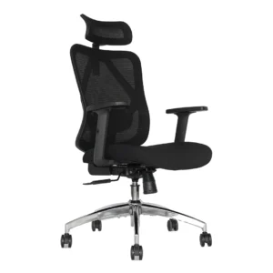 Silla Presidente Icon
