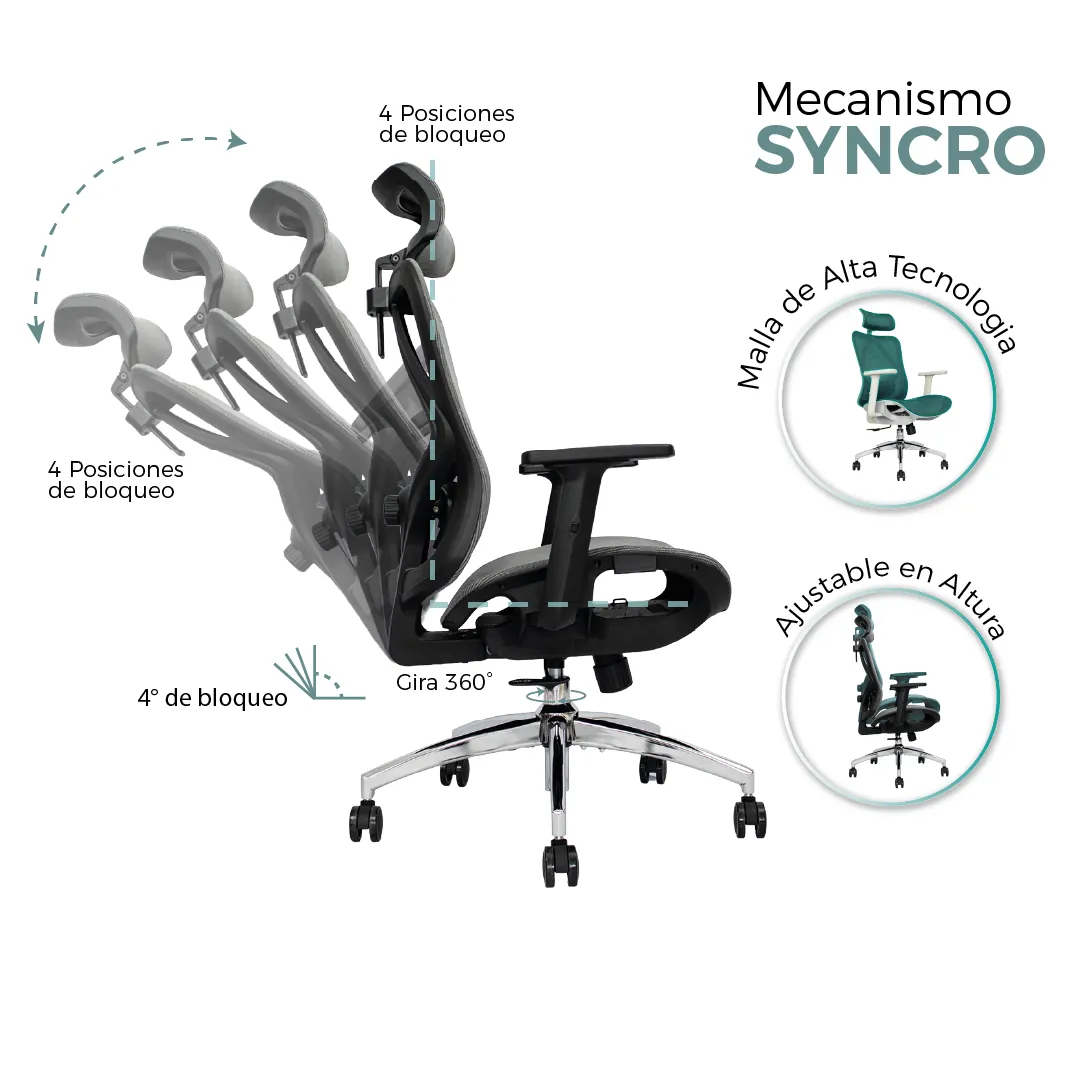 Presidente Bahia - Gris Malla - Image 7