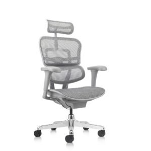 Presidente Ergohuman Basic Gris