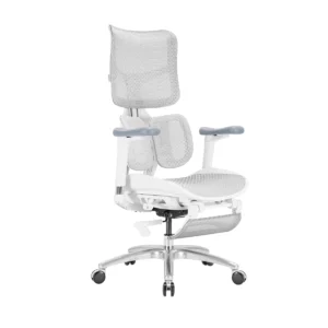 Silla presidente SIHOO S100 Gris